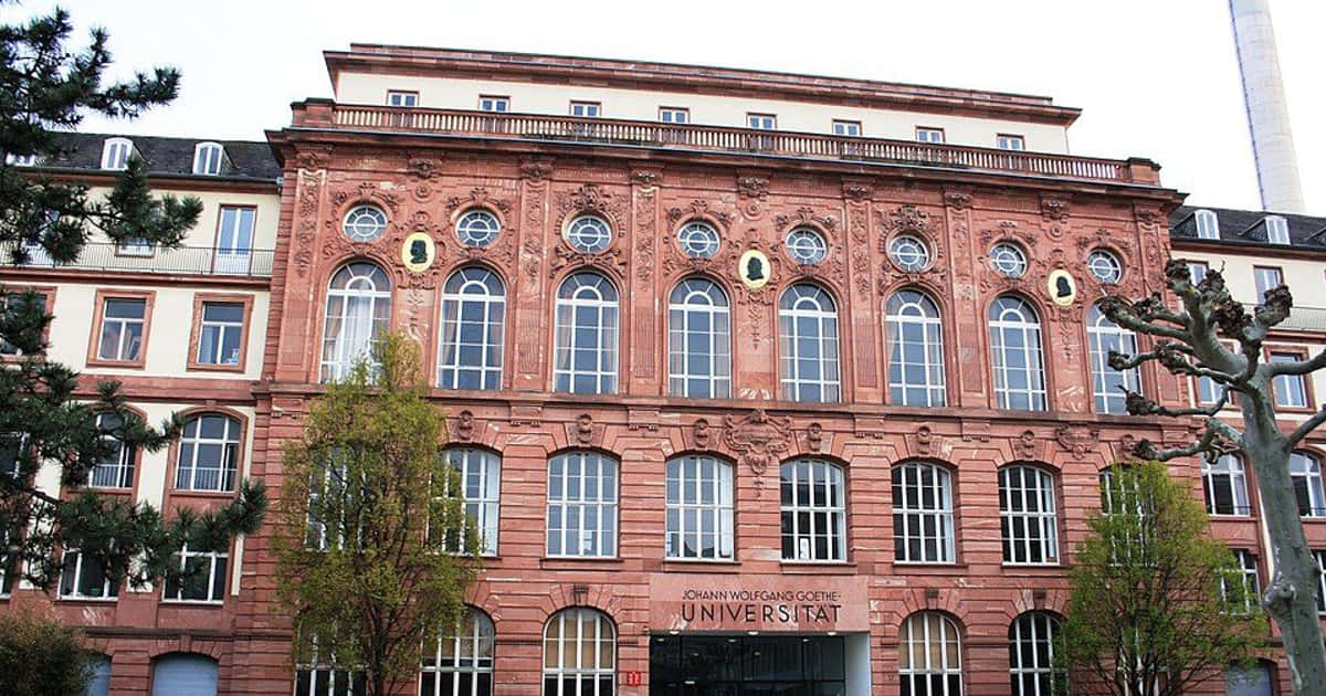 Goethe-Universität: Akademisches Welcome-Programm feiert zehn Jahre Erfolg